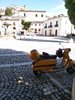 IMG-20210613-WA0006