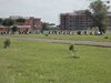 DSCN0294