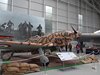DSCN0466