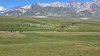 IMG-20240622-WA0004